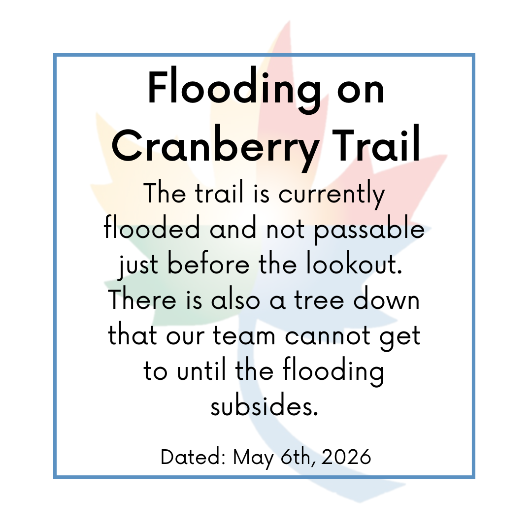 Flooding on Cranberry Trail